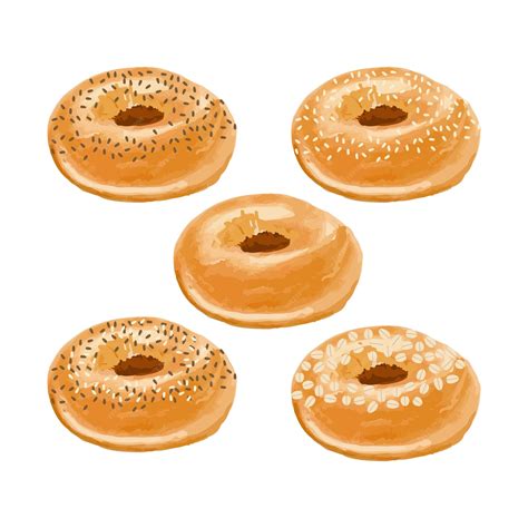 Premium Vector | Five different types of bagels are shown on a white ...