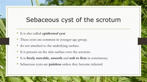 Scrotal swelling | PPTX