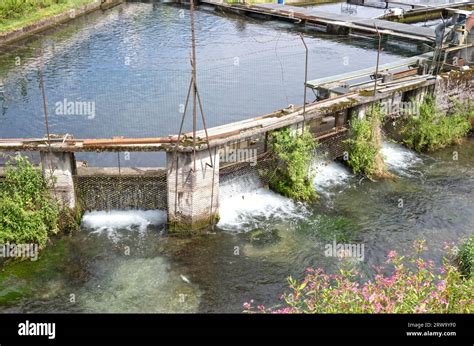 Image result for Trout Farming Methods
