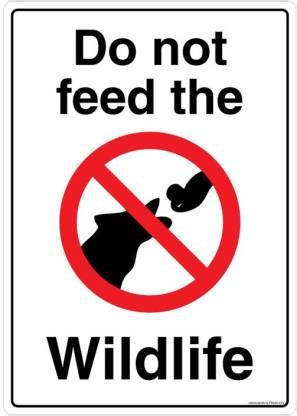 Safety Sign Store Do not Feed the Wildlife Emergency Sign Price in ...