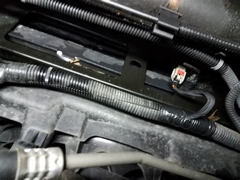 Exposed: The Hidden Details Of The Sierra Cabot Leak - Truth or Fiction