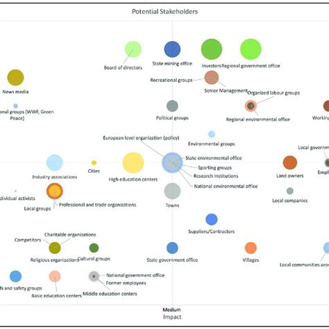 Image result for Stakeholder Assessment Matrix Example