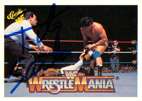 Image result for WWF Classics