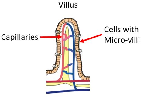 Image result for Visual Spatial Examples