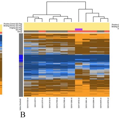 Image result for Anatogram Gene Expression