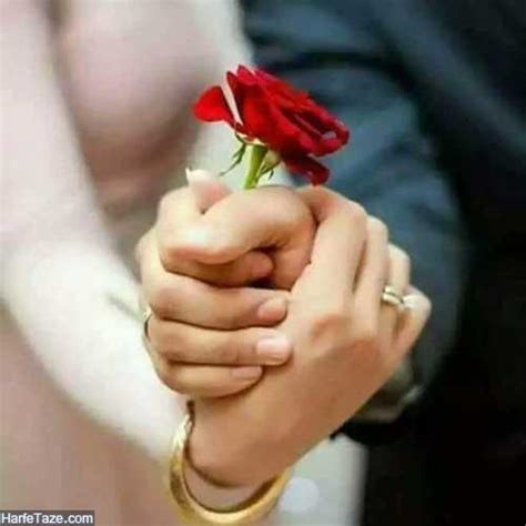 تصاویر هدیه دادن گل عاشقانه | عکس هدیه دادن گل به عشق + متن عاشقانه