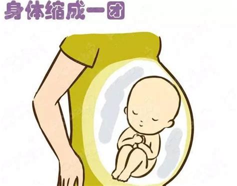 数胎动可判断胎儿是否缺氧