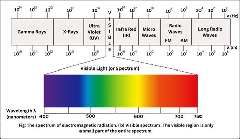 Image result for Types of Spectrum