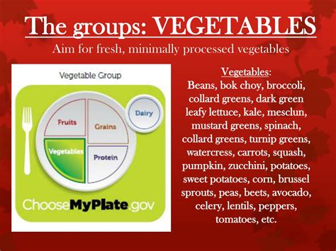 Image result for MyPyramid