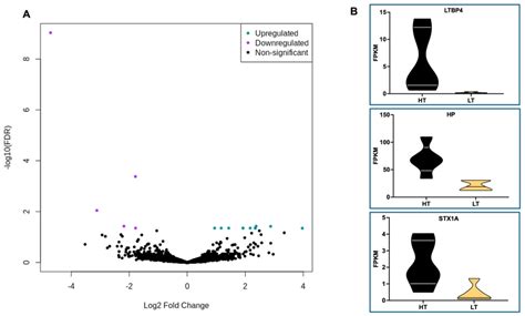 Sensor-Based and Visual Behavioral Profiling of Dry Holstein Cows ...