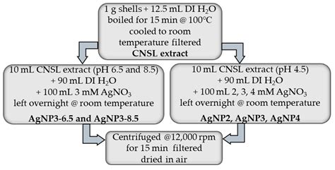 Green Synthesis of Silver Nanoparticles Using Cashew Nutshell Liquid ...