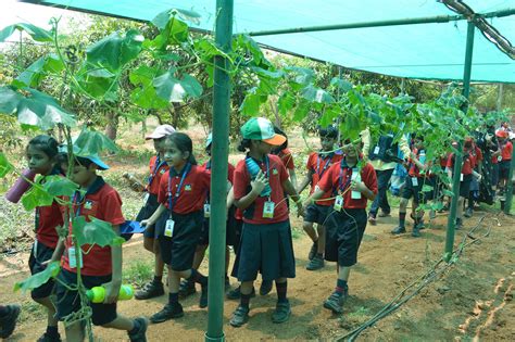 Prodcuts – FHD Group