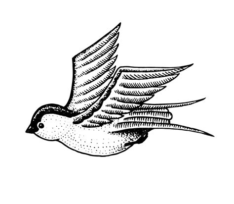 Dziki ptak jaskółka Symbol wolności Mody patch tatuaż grafika dla ...