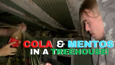 Image result for Exploding Treehouse