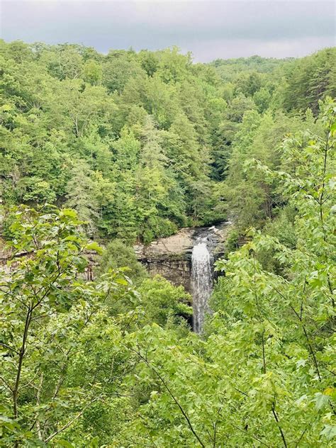 Foster Falls Overlook Trail - Tennessee | AllTrails
