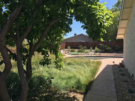 Maria and David Dawson’s garden—#51 ♿️ 🐦 - Bringing Back the Natives Garden Tour