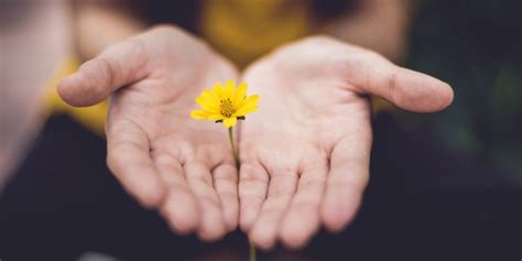 What is Forgiveness? (+9 Science-Based Benefits)