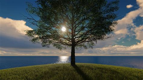 Image result for Nature Motion Graphics