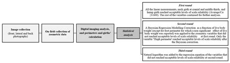 Bayesian Linear Regression and Natural Logarithmic Correction for ...