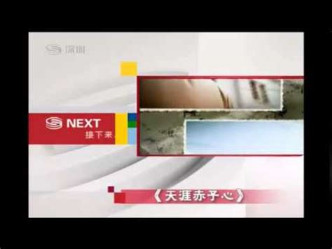 深圳卫视（国际版）- 节目预告 - YouTube