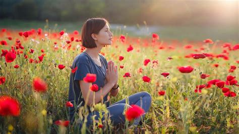 Inner Peace 的图像结果