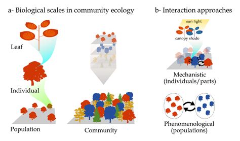 Plant Community 的图像结果