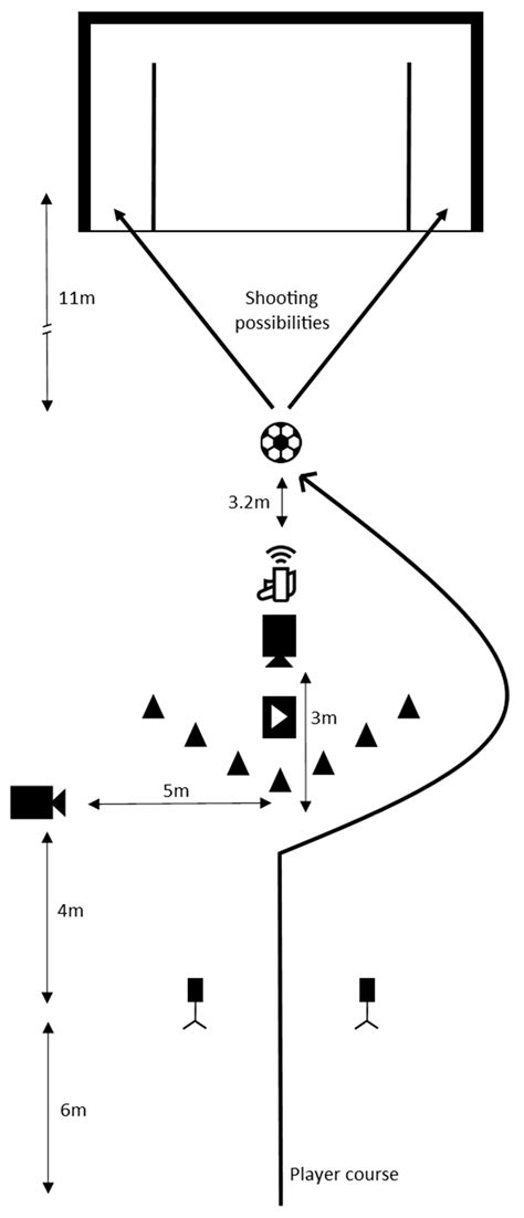 Evolution of Core Stability, Athletic Performance, and ACL Injury Risk ...