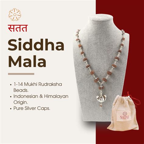 Siddha Rudraksha Mala| 1-14 Mukhi Beads | Indonesian & Himalayan Beads ...
