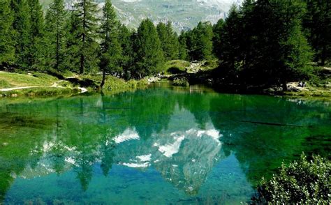 MYOSOTIS (Valtournenche) - B&B Reviews & Photos - Tripadvisor