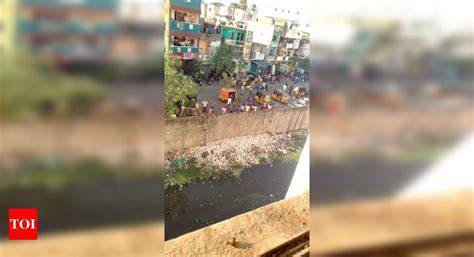 canal pollution - Times of India