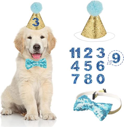 Dog Birthday Hat, Dog Party Hat Kit, with Bow Tie Collar and Blue ...