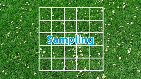 Image result for Sampling Using Quadrats BBC Bitesize