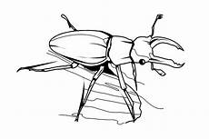 ausmalbilder insekten kostenlos 20 besten ideen ausmalbilder insekten beste wohnkultur ausmalbilder insekten kostenlos 20 besten ideen ausmalbilder insekten beste wohnkultur