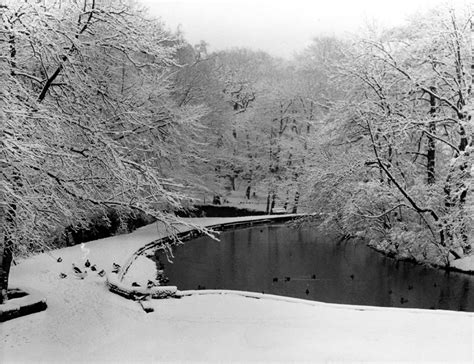 Searching Picture Sheffield
