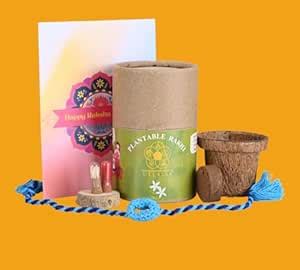 ULLASSA Plantable Rakhi Kit For Brother | Handmade Rakhi With Seeds ...