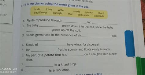 speech on do exams alone determine child's worth - Brainly.in