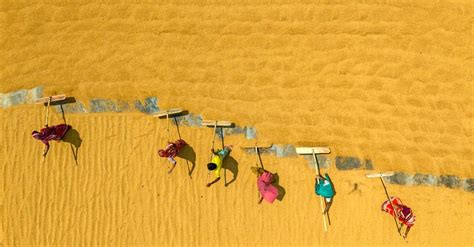 Community Supported Agriculture 的图像结果