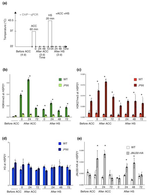 JMJ Histone Demethylases Balance H3K27me3 and H3K4me3 Levels at the ...