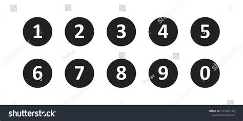 Image result for Spring Force Examples