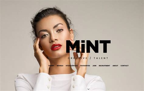 Fast Modeling Agency 的图像结果