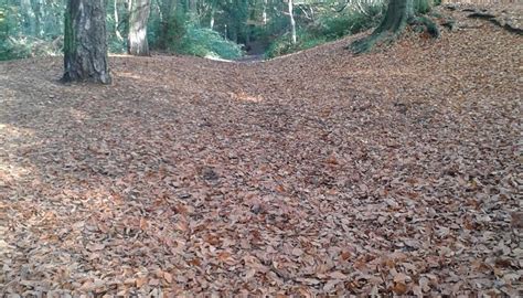MOUSEHOLD HEATH - All You Need to Know BEFORE You Go 2026 (with Photos ...