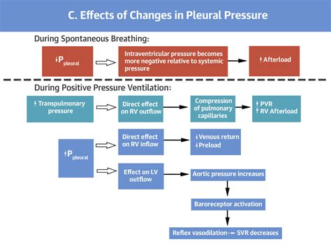 Positive Pressure Ventilation in the Cardiac Intensive Care Unit | JACC