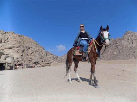 Sharm El Sheikh: Horse Ride Along The Coast with Transfers - Klook India