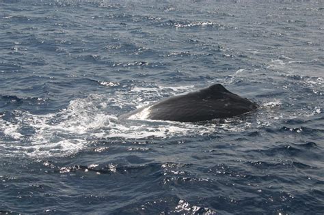 Die Saison 2011 – ein kleiner Rückblick