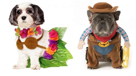 Your dog will be the best-dressed guest at your Halloween party this ...