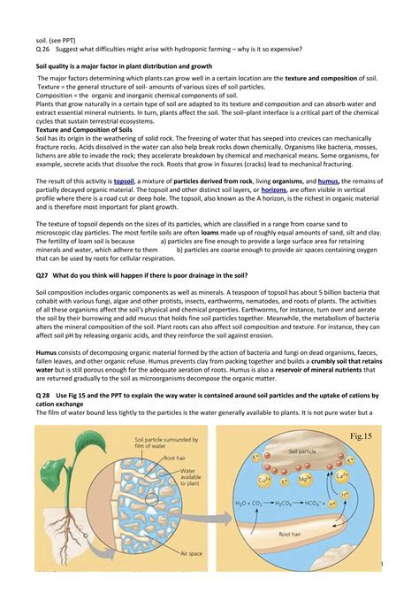 Plant transport and nutrition 2 | DOC