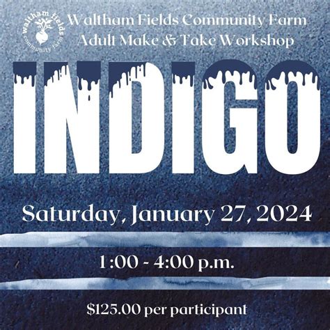 Indigo Dyers Workshop, Waltham Fields Community Farm, January 27 2024 ...