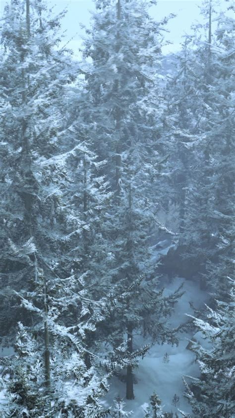 Image result for Snow Loop