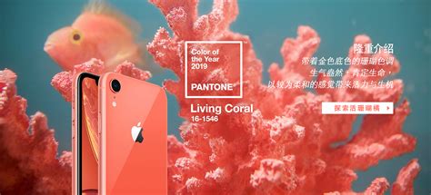 PANTONE 2019年度色活珊瑚橘，配色越看越喜欢 - 千通彩色彩管理官网