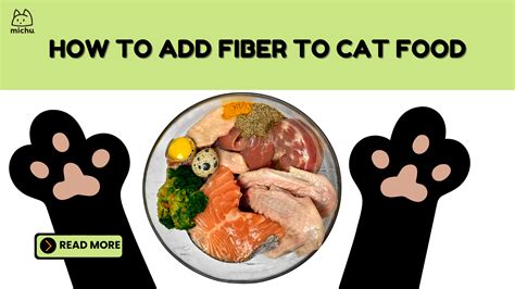 Boost Your Cat's Digestion: How to Add Fiber to Cat Diet
